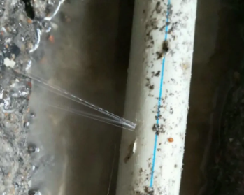 绵阳市卫生间测漏水多少钱